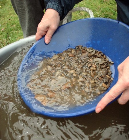 california-gold-panning-gold-prospecting-19